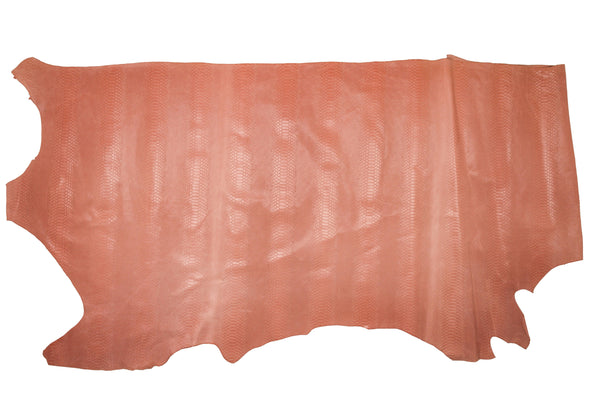 SALMON PINK SNAKE ENGRAVING SKIN