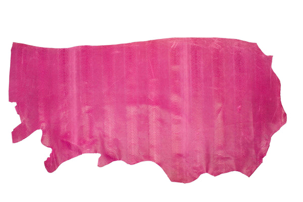 FUCHSIA SNAKE ENGRAVING SKIN