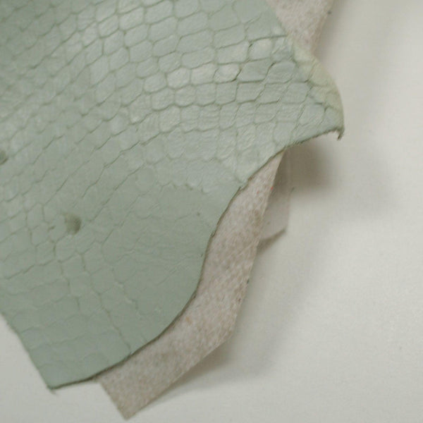 GOAT LEATHER ENGRAVED FLUOR SNAKE