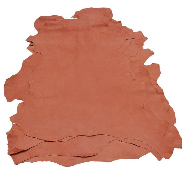 Leather in front of coral