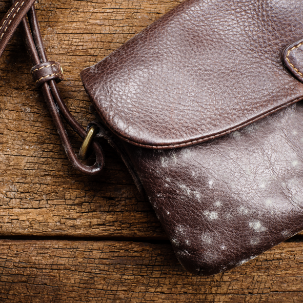 How to clean moldy leather with this definitive and simple trick
